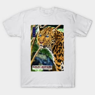 Amur Leopard - White T-Shirt